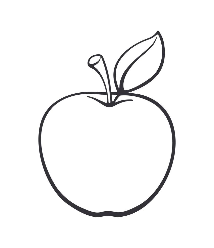 Outline doodle of apple with stem vector