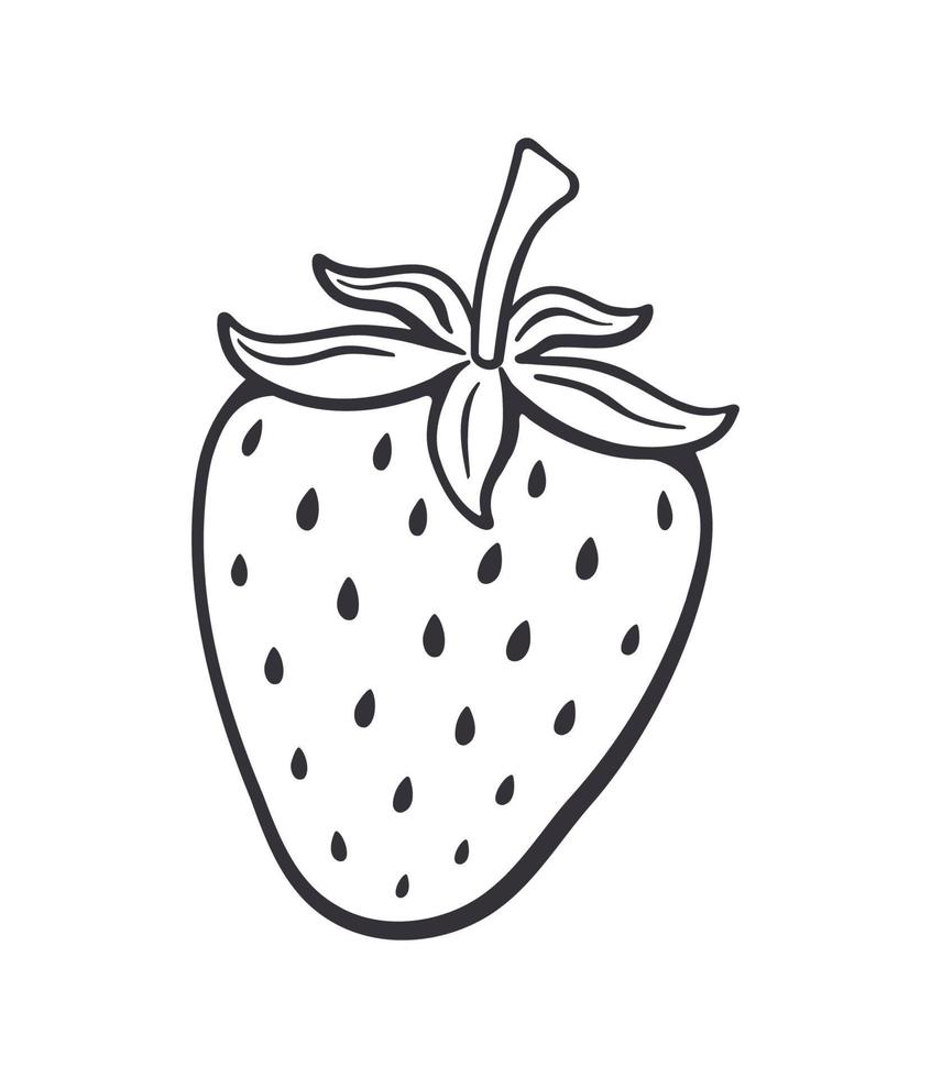 Outline doodle of sweet strawberry 21973820 Vector Art at Vecteezy