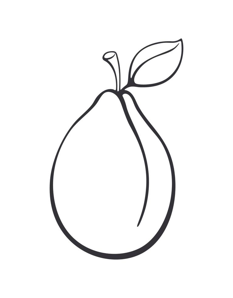 Hand drawn doodle of plum with stem and leaf. Healthy vegetarian food. Cartoon sketch vector