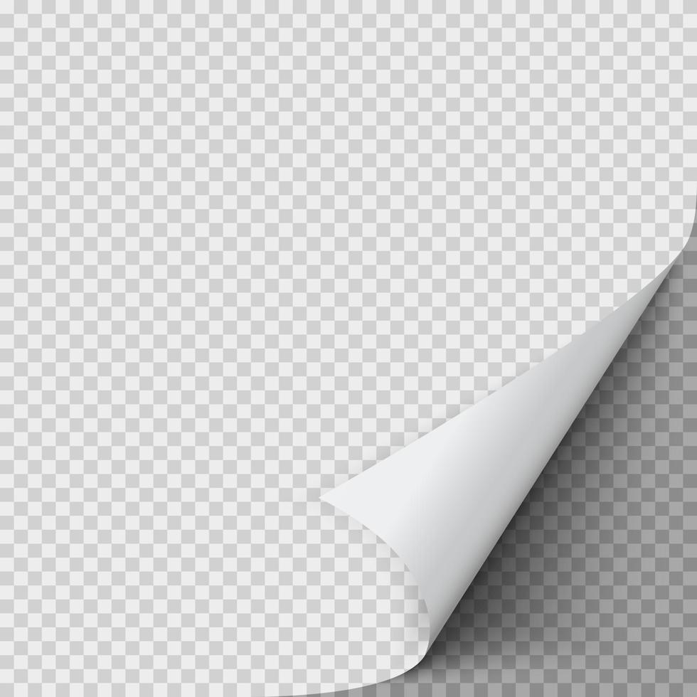 Curled corner of paper. Empty sheet of paper with twisted corner. Vector illustration
