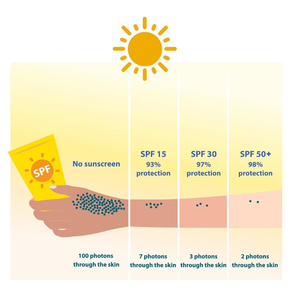 The different levels of SPF 15, 30 and 50 protect UVB rays and allow photons through the skin. Comparison of sun protection with sunscreen. Skin care and beauty concept illustration. vector