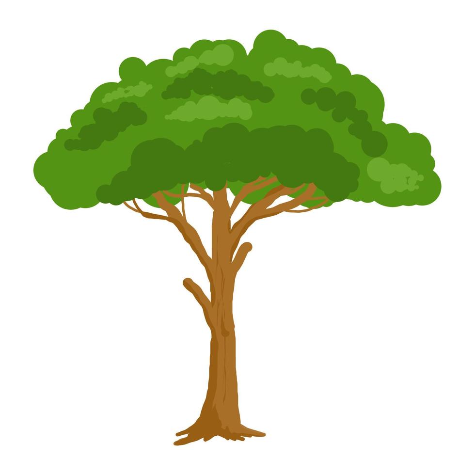 ilustración de un árbol con denso y verde hojas vector