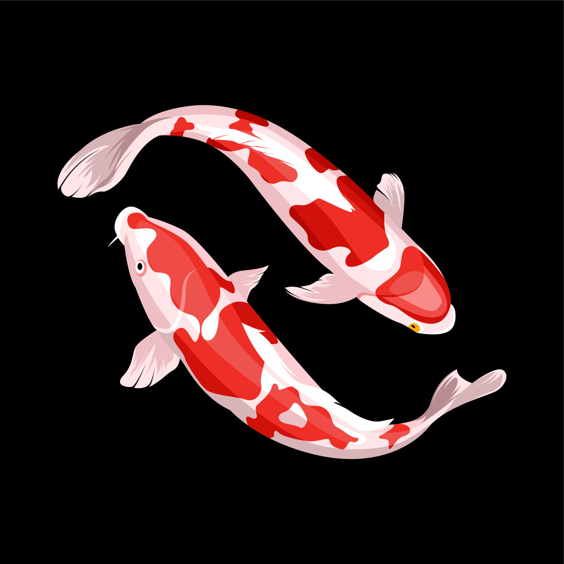 illustration of a pair of koi fish with red and white scales 21976215  Vector Art at Vecteezy