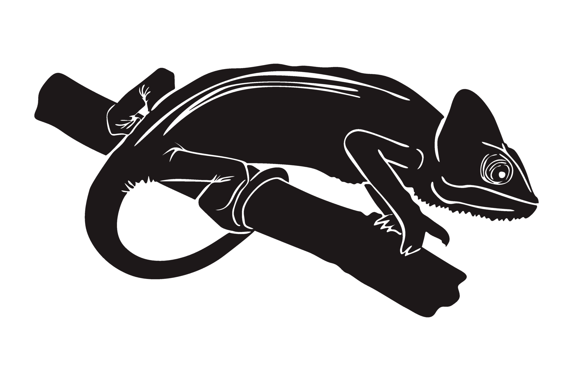 Black Silhouette Of Chameleon 21976612 PNG