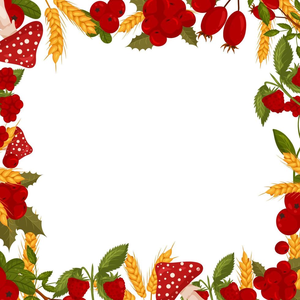 pring square frame with raspberries, wild rose and cranberries, mushrooms, fly agarics. Summer vector border