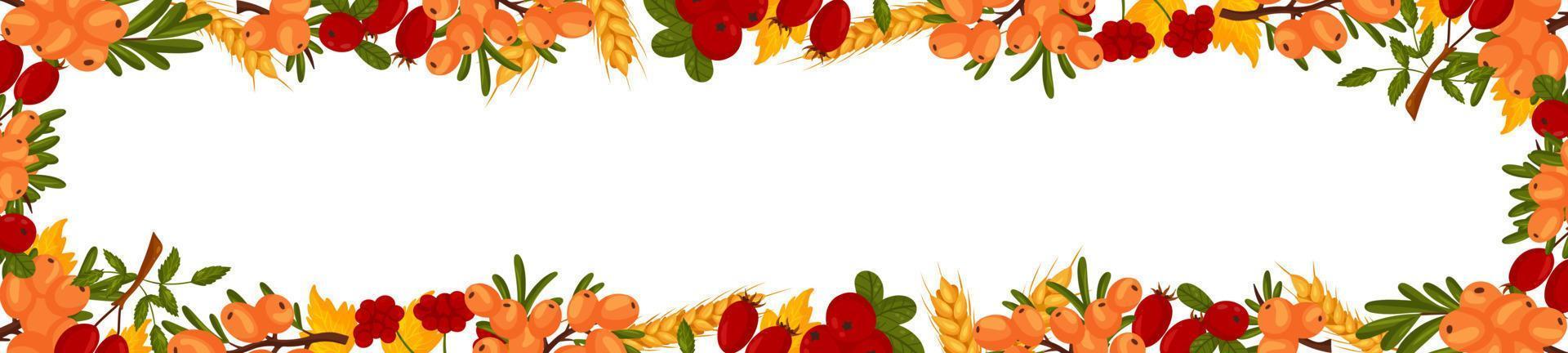 Spring horizontal border with sea buckthorn berries, rosehip, cranberries, wheat branches and leaves. Summer vector banner
