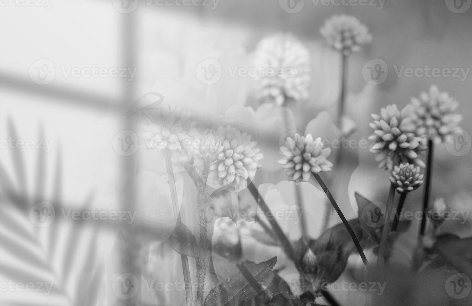 Abstract white flowers background. Window shades, flowers and palm leaves. Copy space. summer party. blurred background. photo