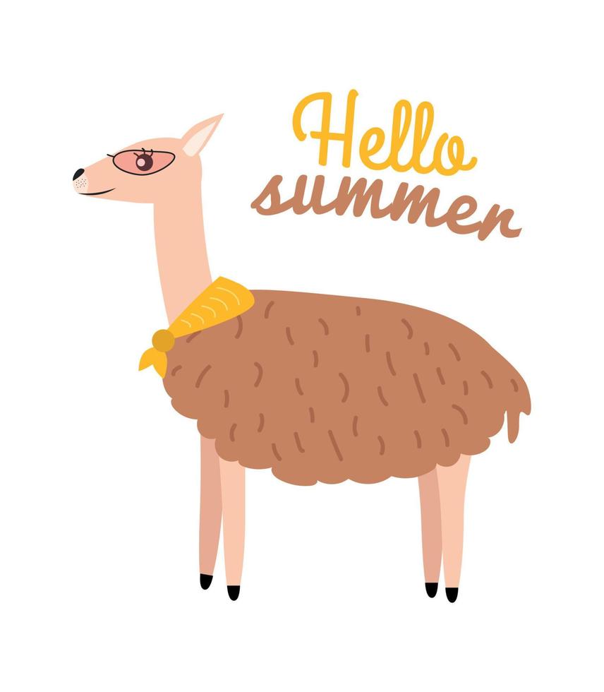 Illustration of an animal guanaco with a scarf around his neck and the inscription hello summer. Guanaco print with a scarf around his neck and the text hello summer vector