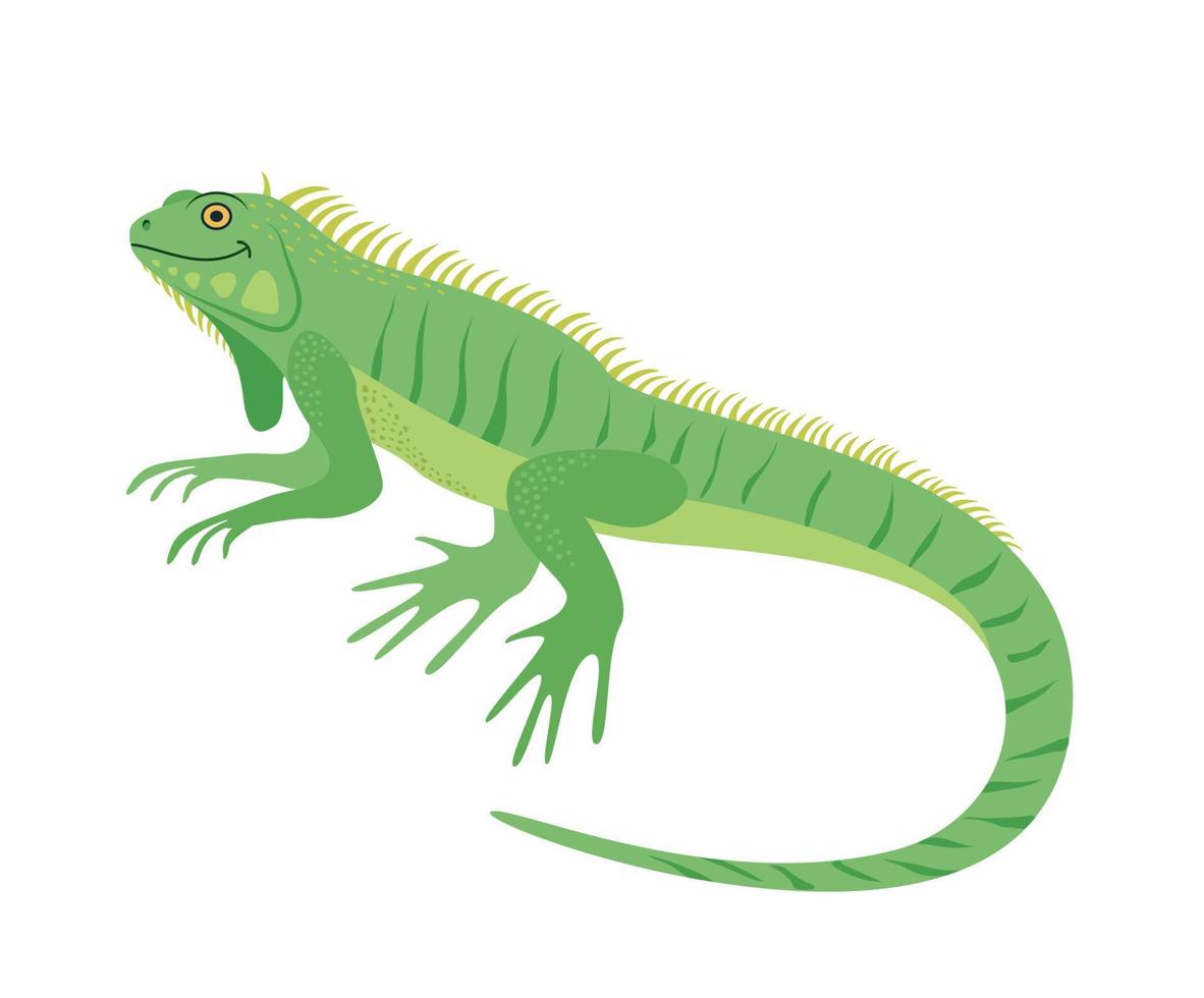 el personaje. iguana lagarto. reptil. vector ilustración