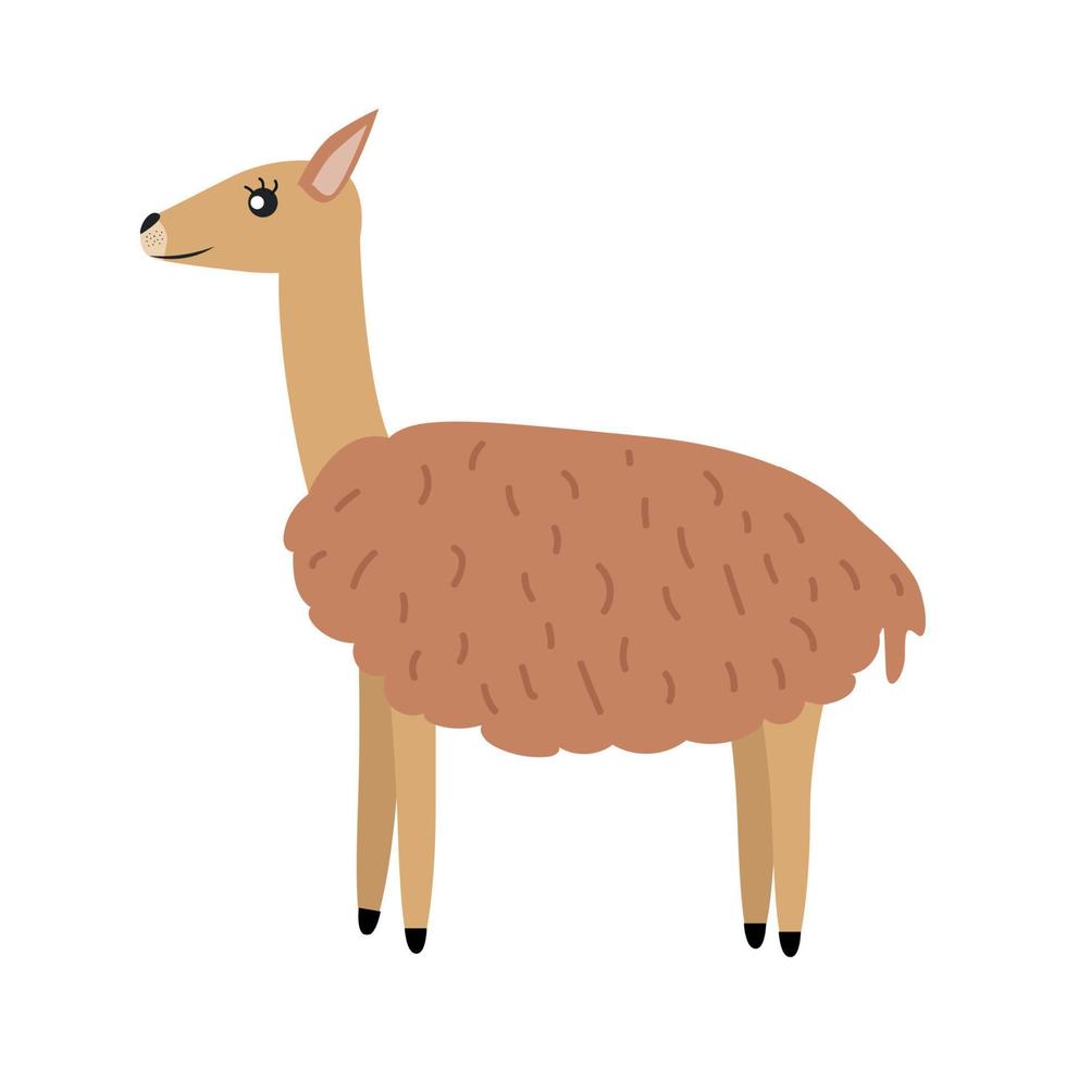 Illustration of animal guanaco. Guanaco character vector