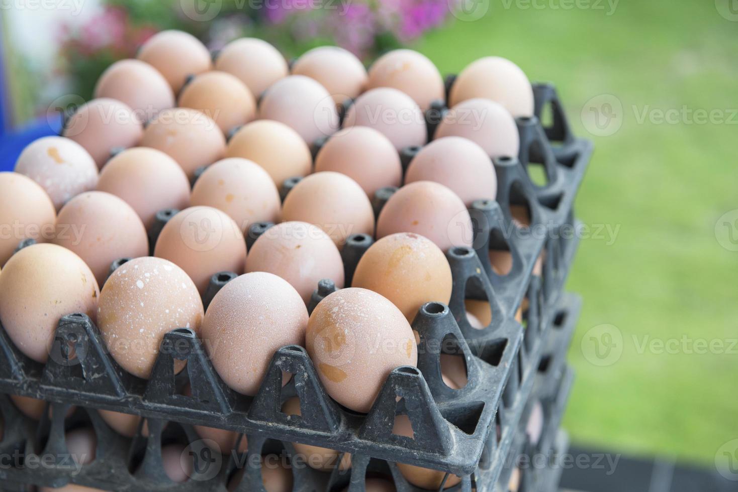 huevos en el bandeja a mercado foto