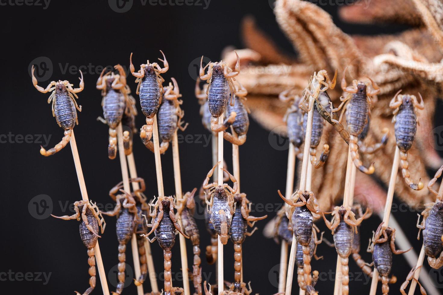 frito insectos y escorpiones como bocadillo calle comida en porcelana, Beijing foto