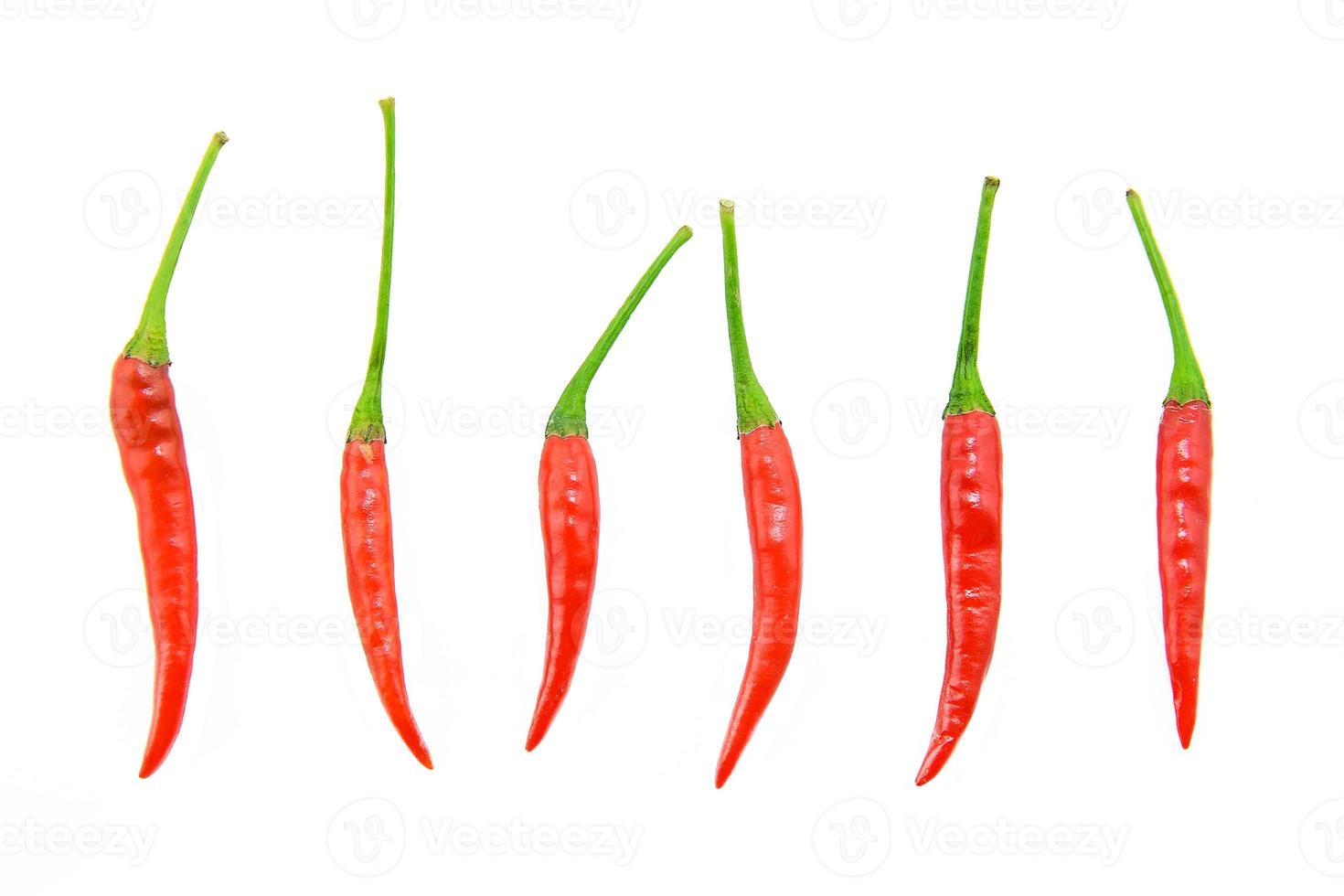 red chilies on white background photo