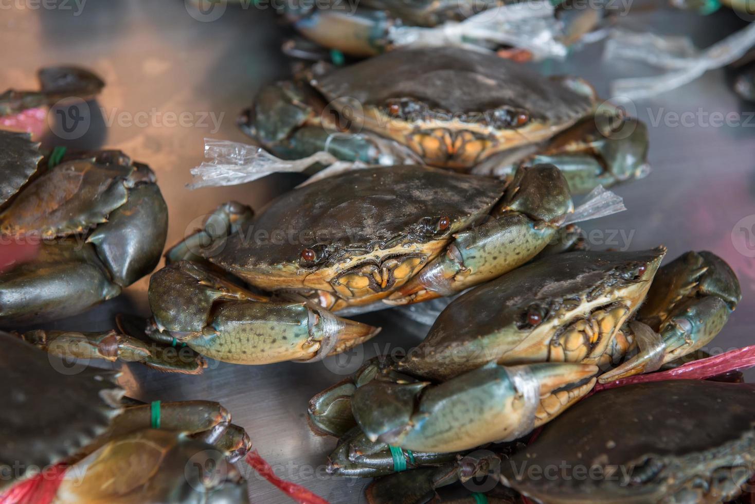 alive Crabs ready to be cooked at market photo