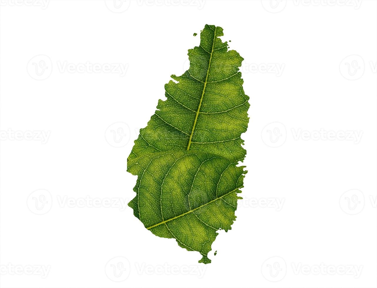 Saint Lucia map made of green leaves on soil background ecology concept photo