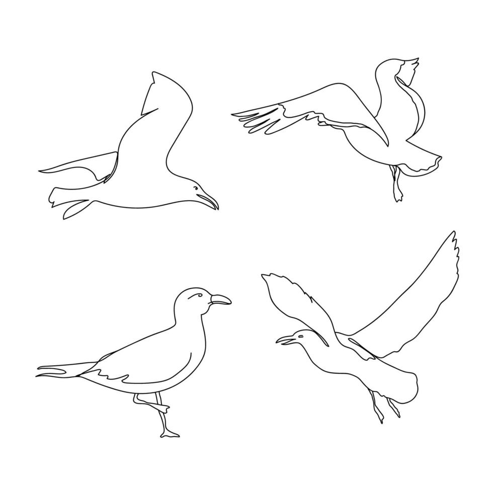 uno línea Gaviota mano dibujado colocar. mano dibujado minimalismo estilo vector ilustración. contorno Gaviota volador. hermosa mar vida diseño elementos.