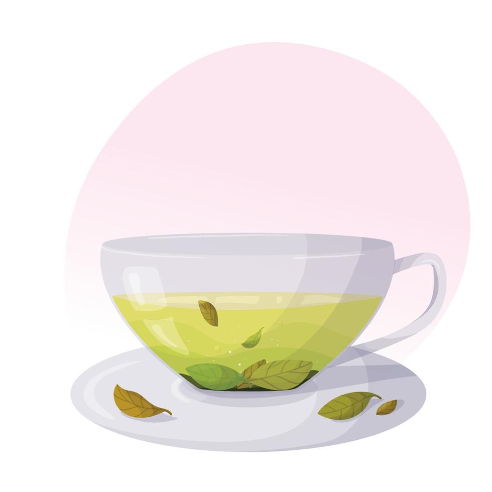 Glass cup with saucer with green herbal tea. Hot herbal tea vector