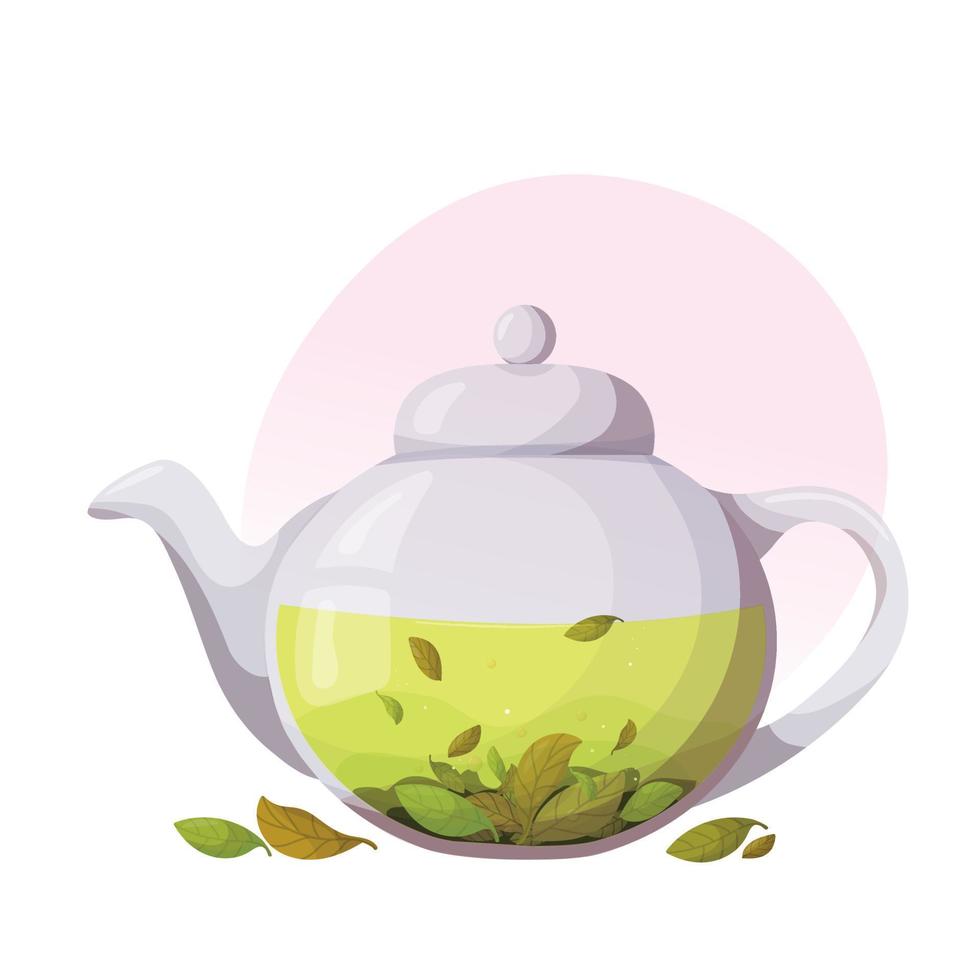 Glass teapot with loose leaf tea. Transparent glass teapot with green tea. Fresh green tea leaves. vector