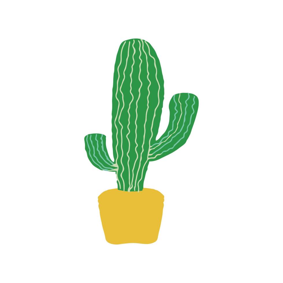 cactus hogar suculento planta vector
