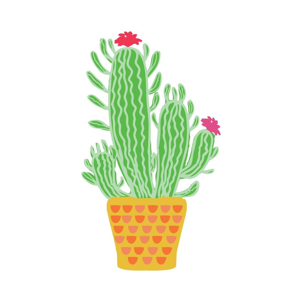 Cactus home succulent plant vector