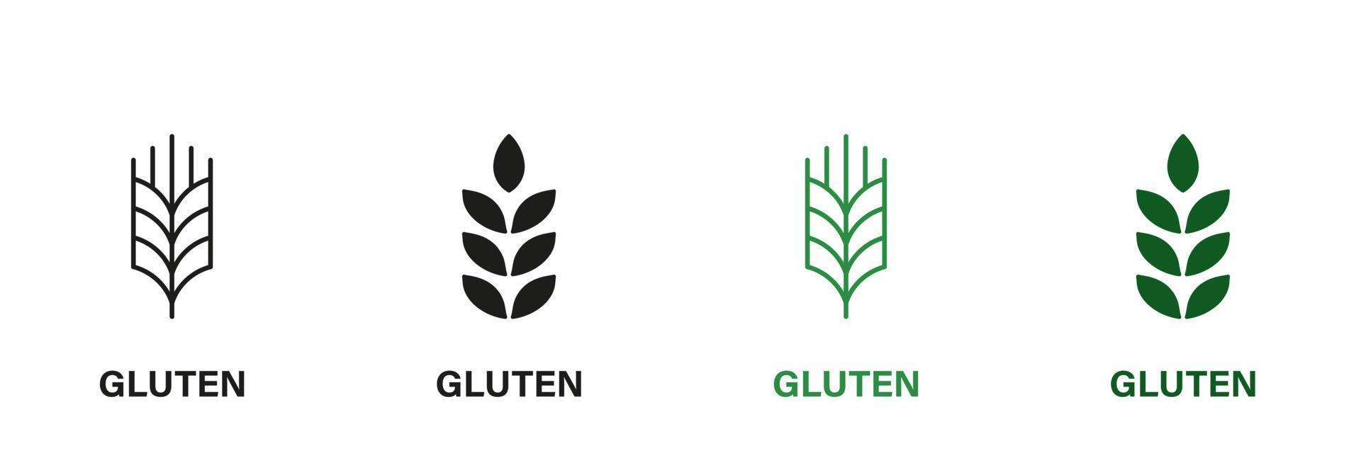 gluten ingredientes línea y silueta icono colocar. trigo alergia producto verde y negro pictograma. orgánico cereal semilla símbolo colección en blanco antecedentes. aislado vector ilustración.