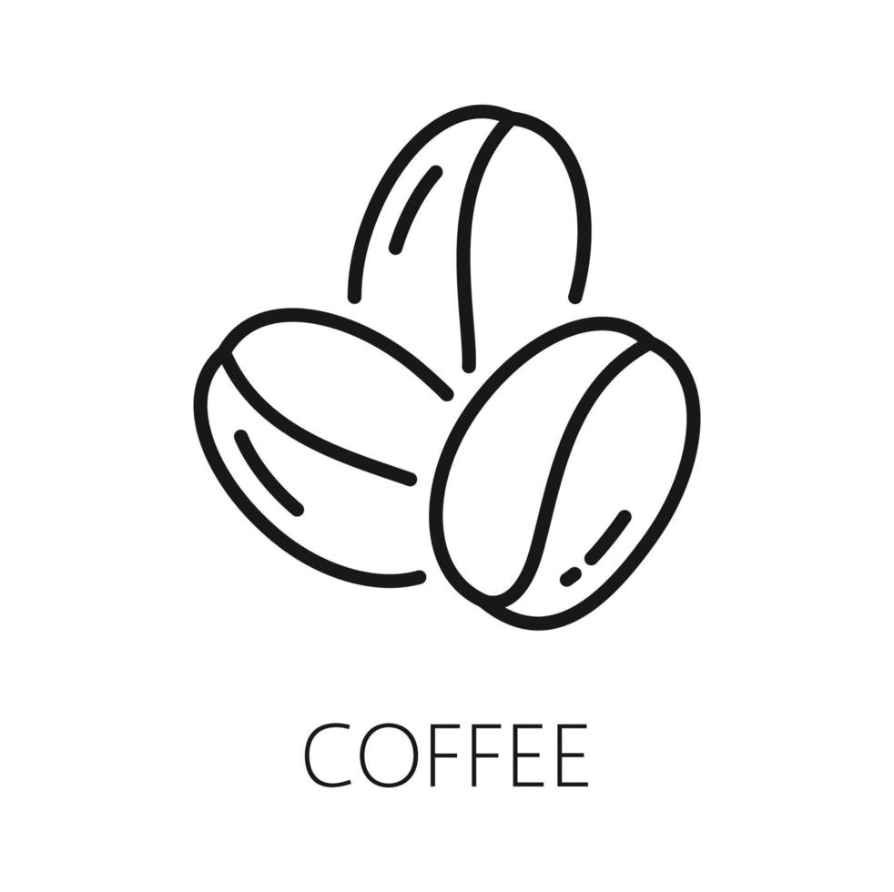 Roasted coffee bean grain isolated outline icon vector