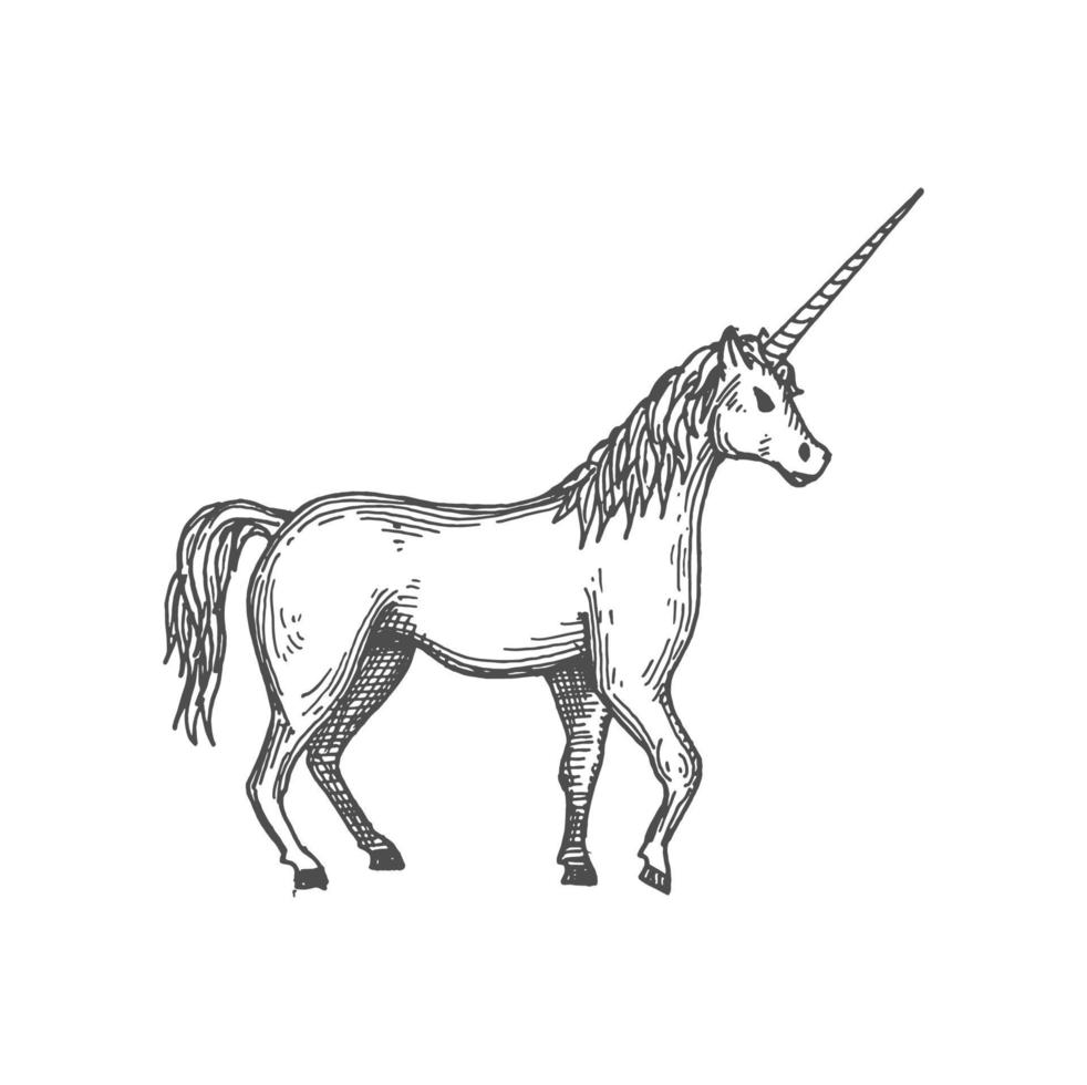 Unicorn fairy tale animal isolated sketch icon vector