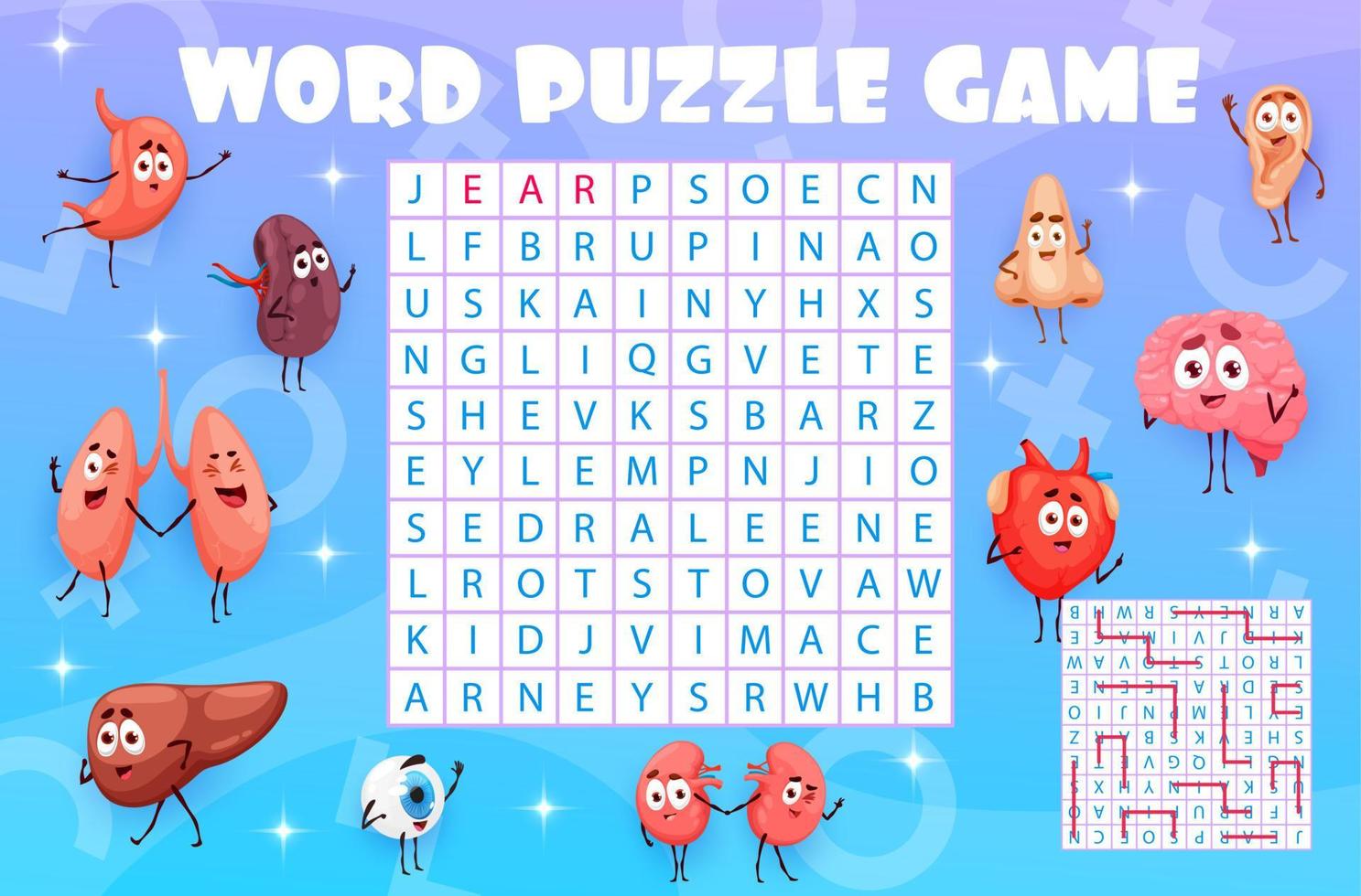 Word search puzzle game worksheet. Human organs vector