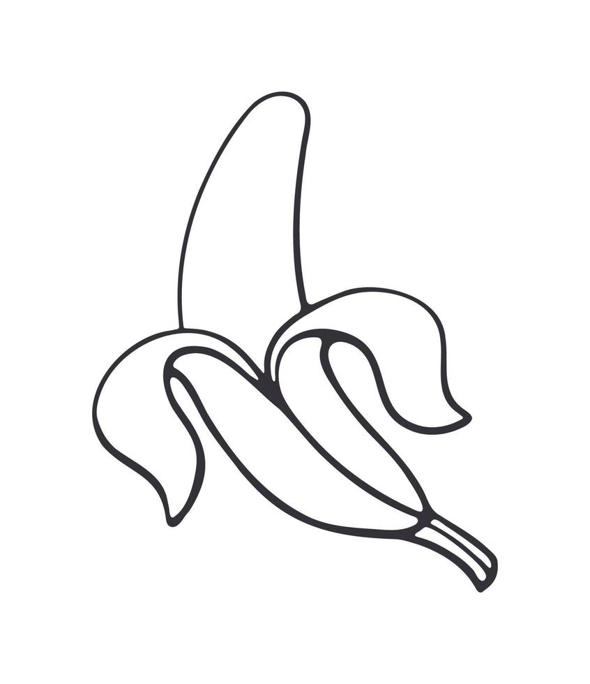 Outline doodle of peeled banana vector