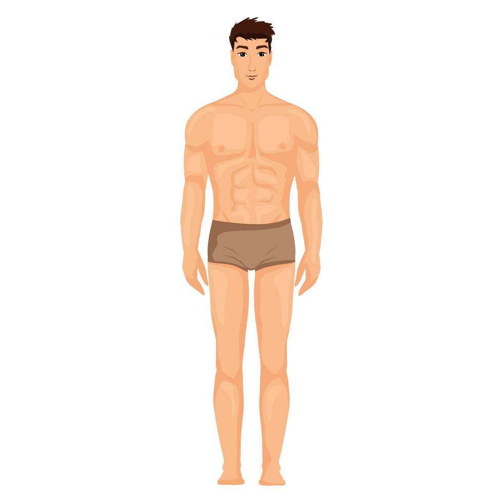 hombre cuerpo en pantalones ilustración vector