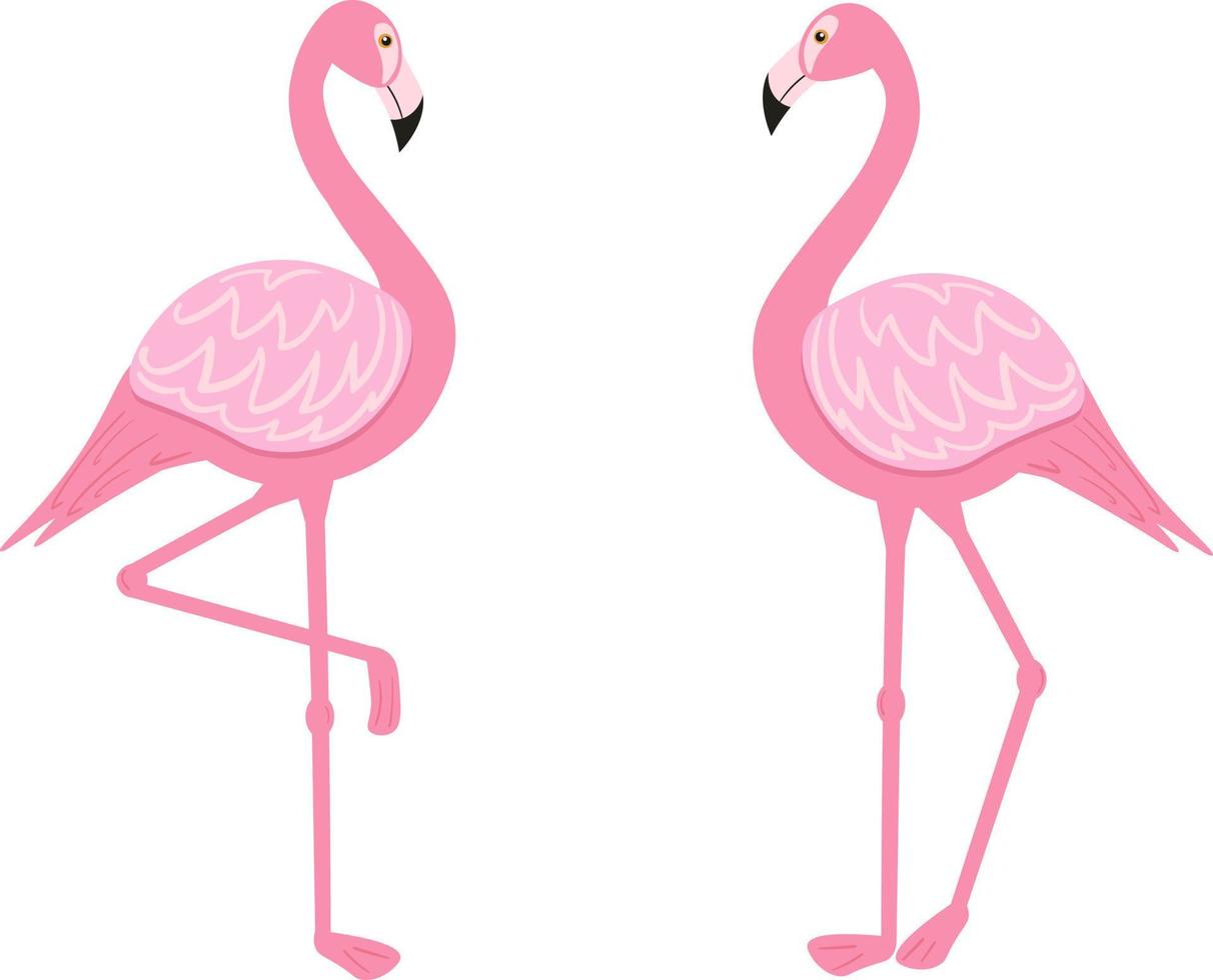 Illustration of a pair of flamingos in a flat style. Pink Flamingo. vector