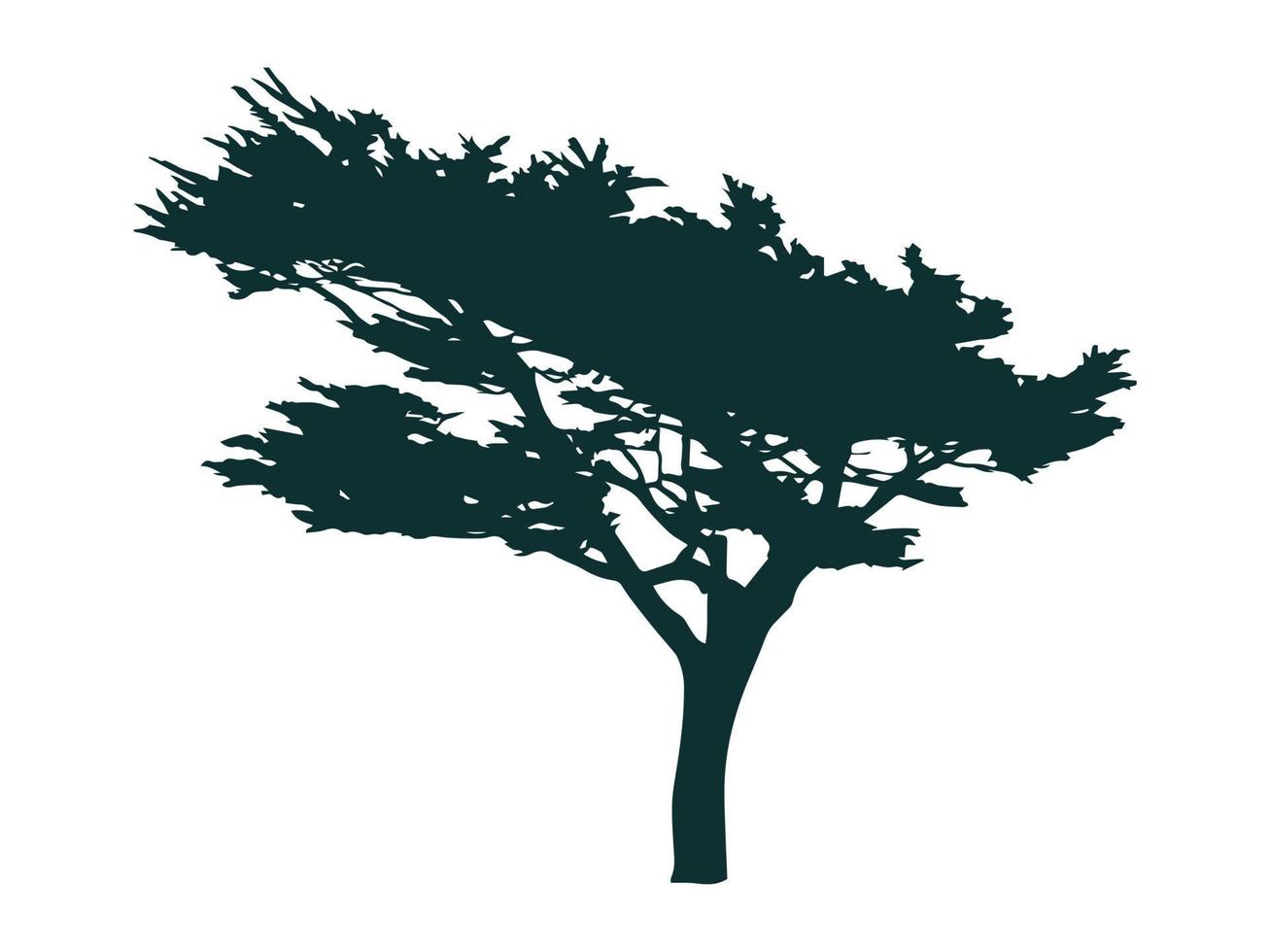 cypress tree silhoette vintage vector outdoor