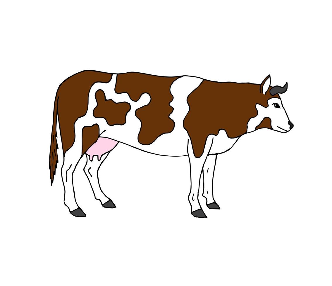 Vector hand drawn doodle sketch cow