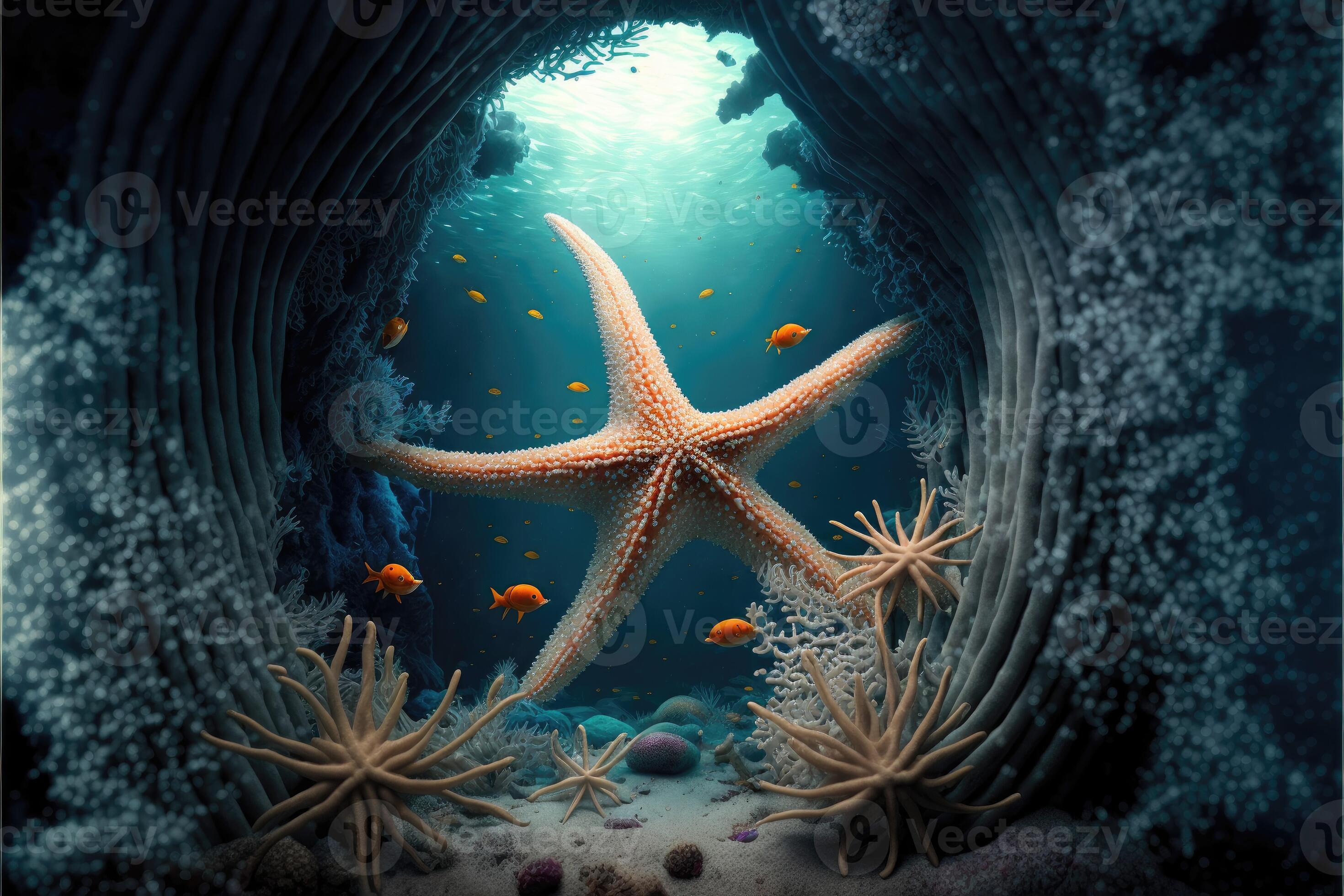 The Starfish And Their Underwater Habitat 21983867 Stock Photo At Vecteezy the-starfish-and-their-underwater-habitat-21983867-stock-photo-at-vecteezy
