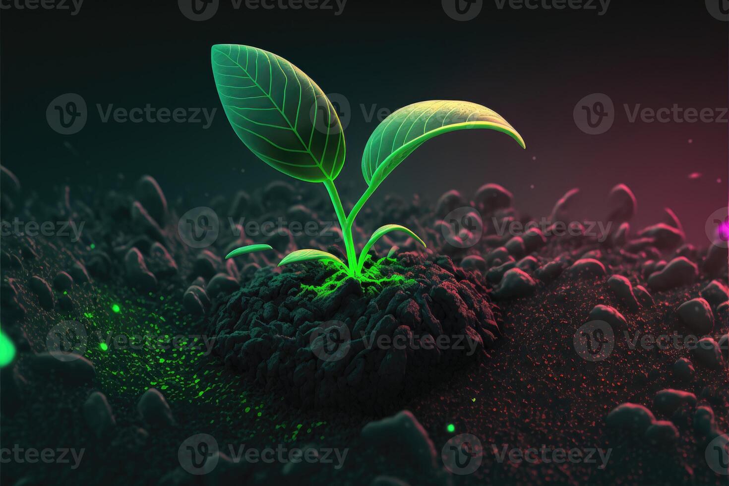 A sprout emerging from the soil glow in the dark background photo