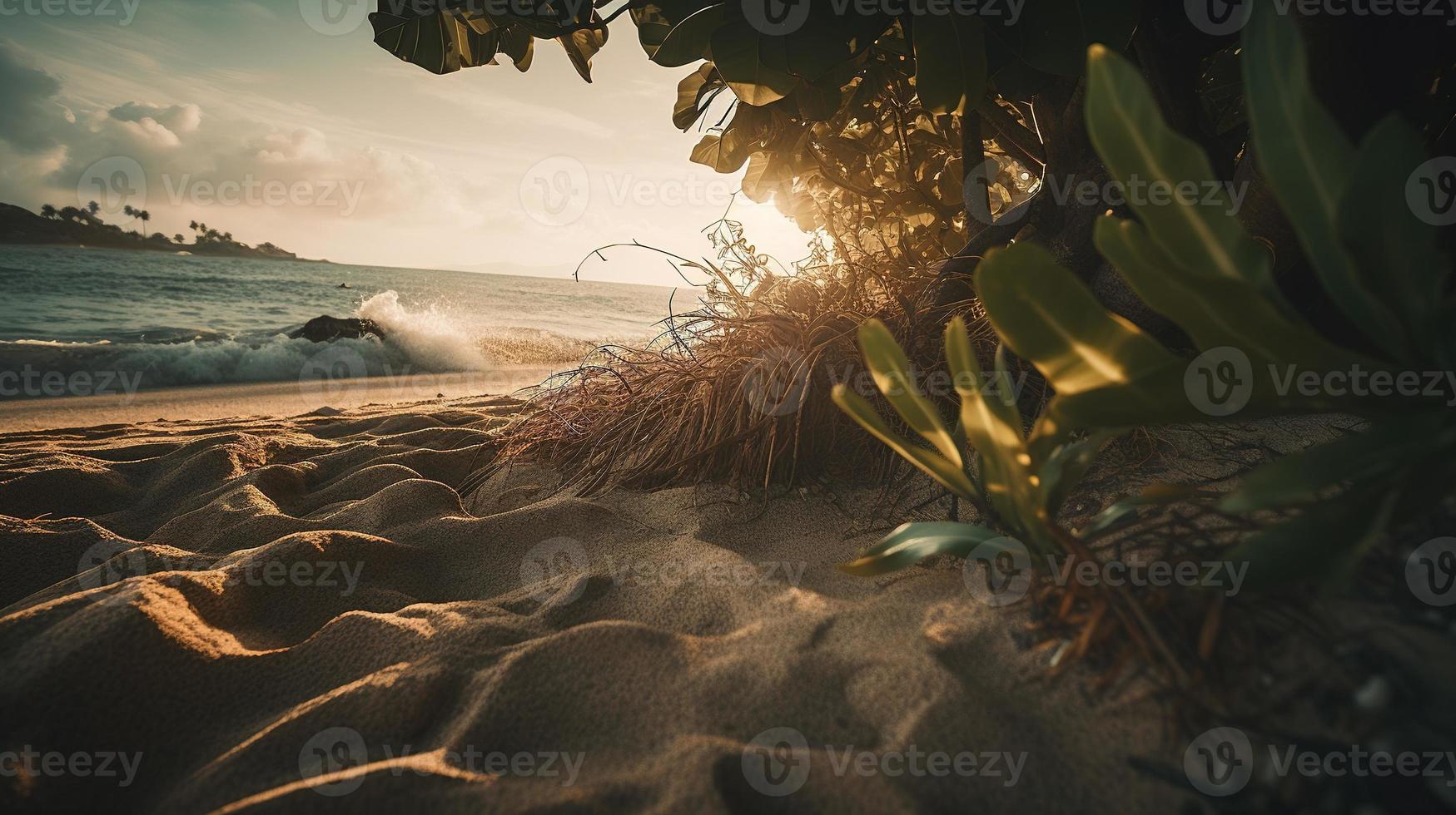 tropical playa con palma arboles y arena dunas a puesta de sol, azul mar foto