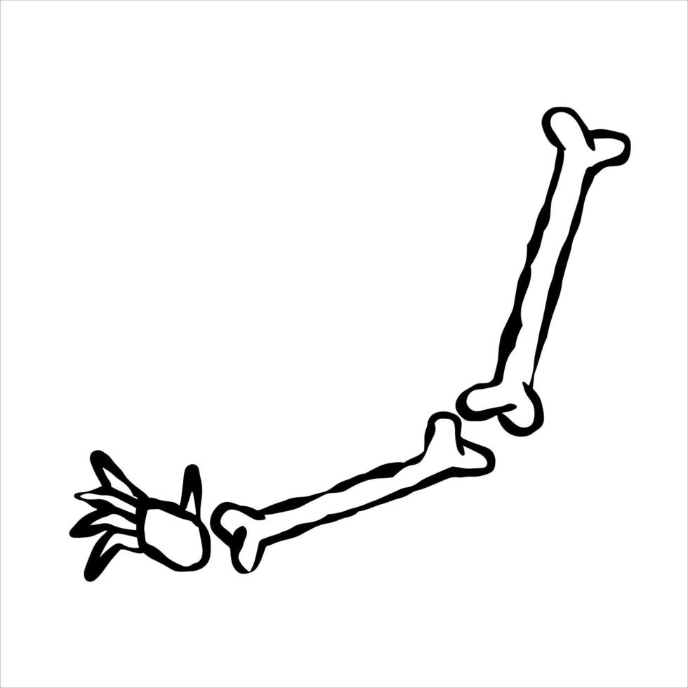 Hand of skeleton. Halloween decoration. Cartoon illustration isolated on white. vector