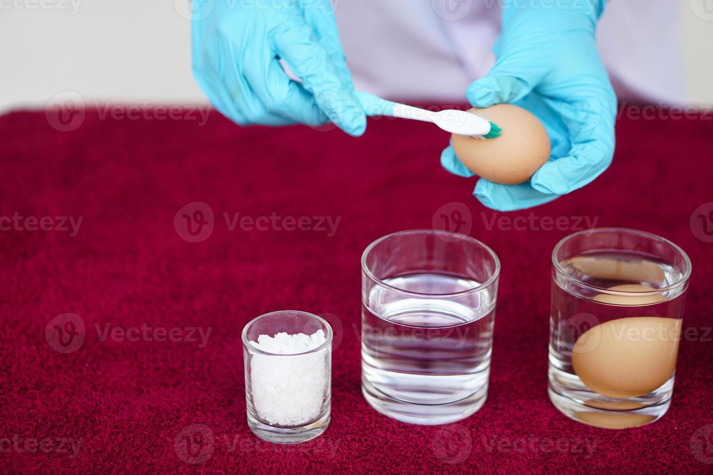 Closeup hands use old toothbrush to clean egg before doing science experiment about freshness of eggs. Concept, fun and easy science activity for learning by doing, studying lesson. Education. photo