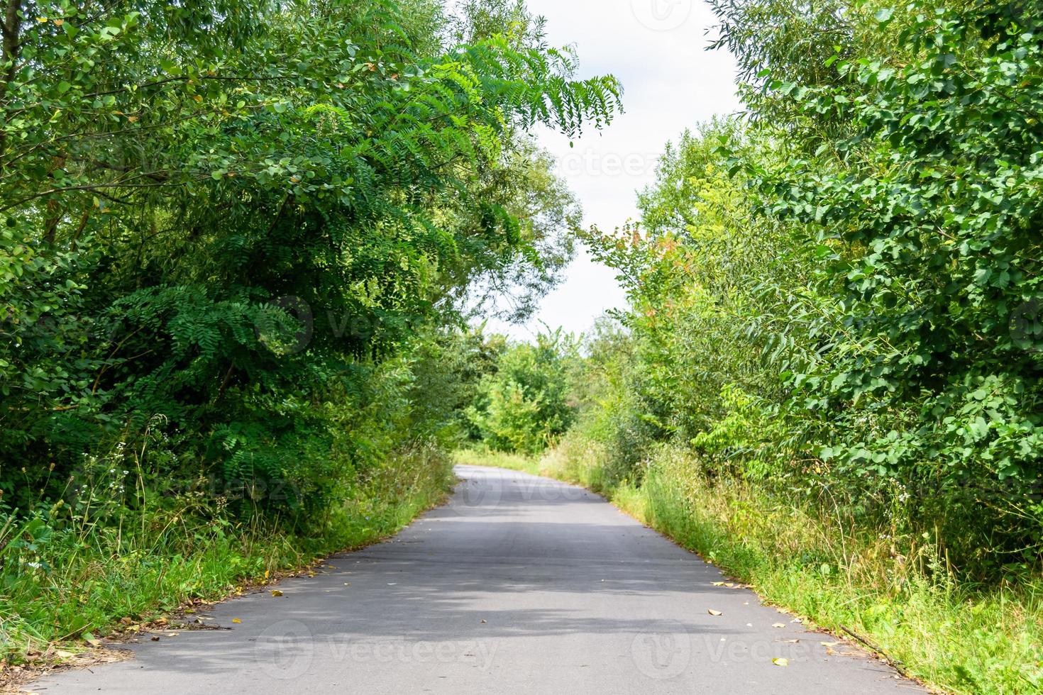 Hermosa carretera de asfalto vacía en el campo sobre fondo de color foto