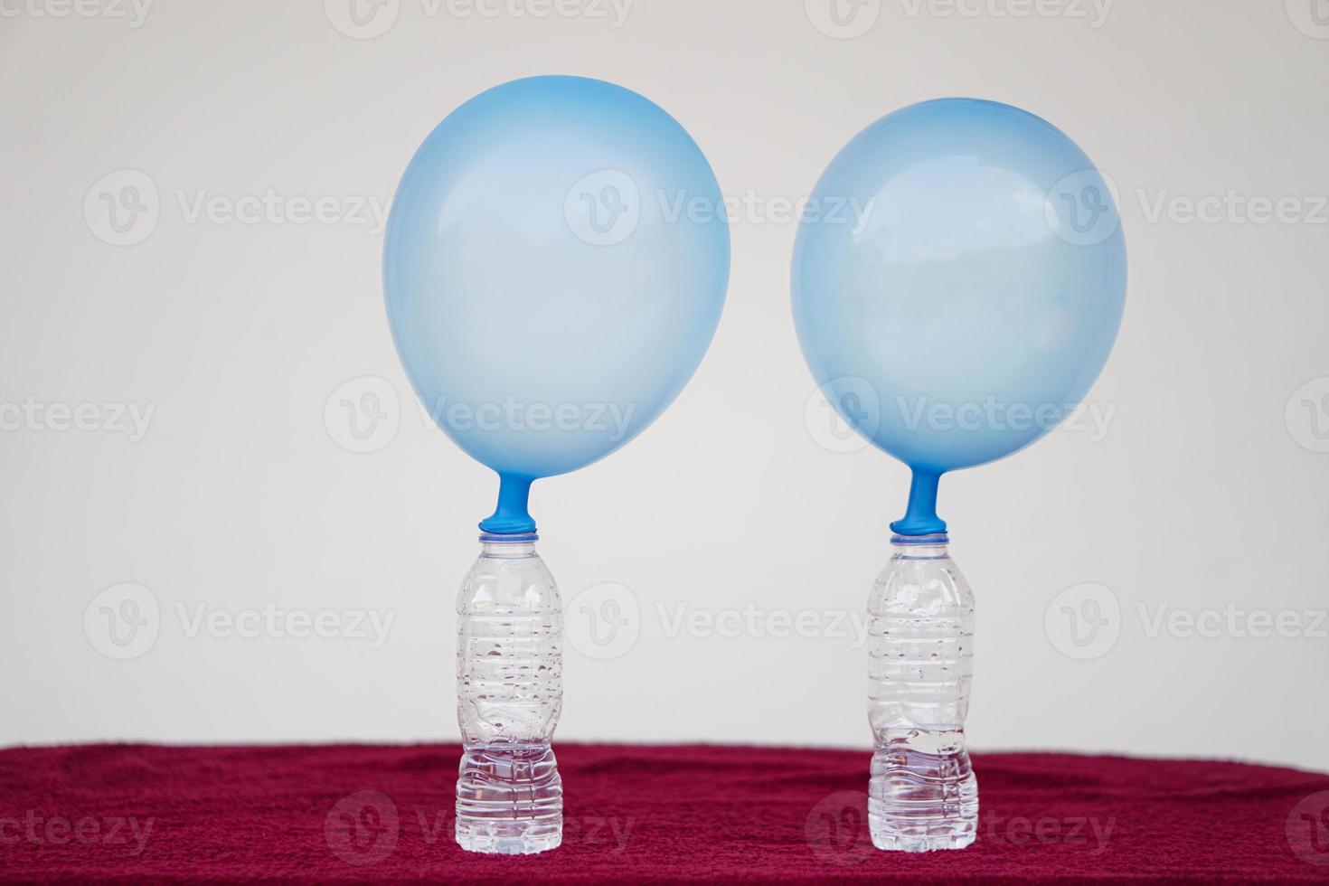 Blue inflated balloons on top of transparent test bottles. Concept, science experiment about reaction of chemical substance, vinegar and baking soda that cause balloon inflat. Last step of experiment photo