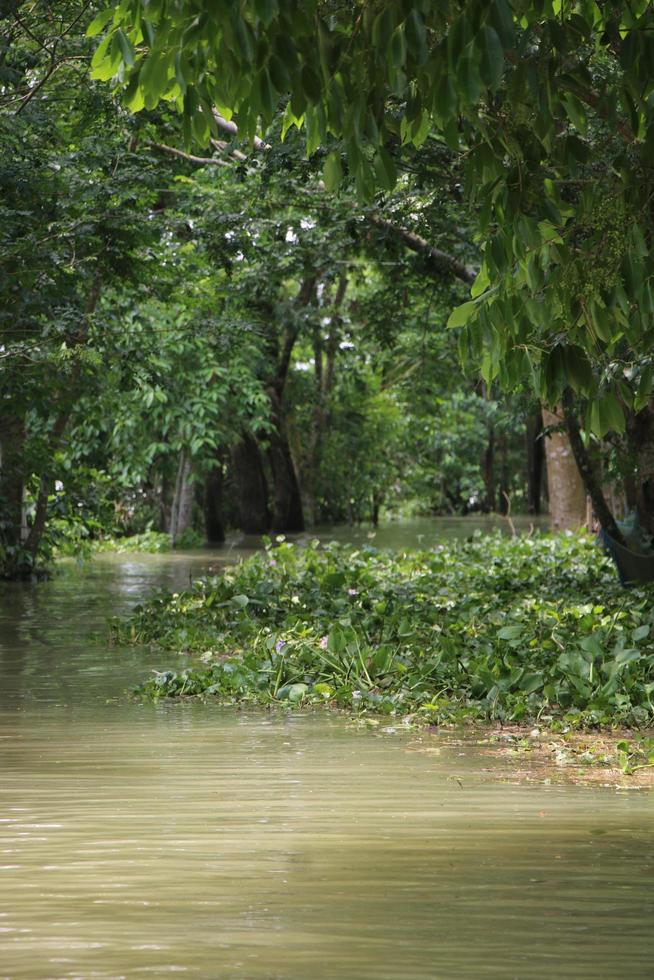 el rural areas de Bangladesh miró muy hermosa durante el inundaciones foto