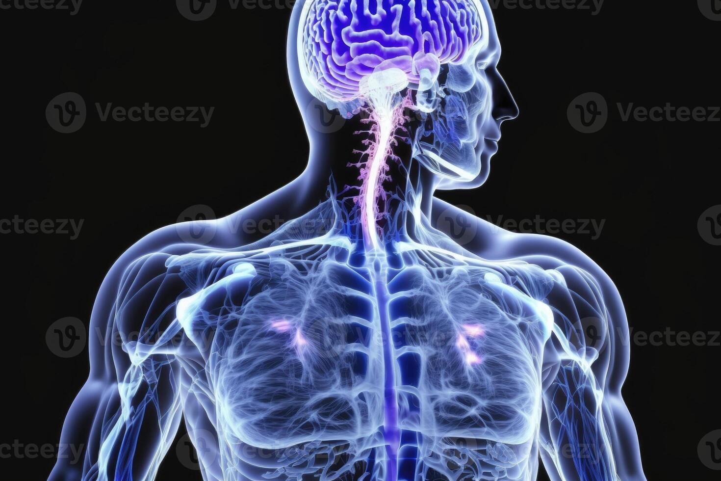 Scanned body of a man on a black background, clearly defined veins, . photo