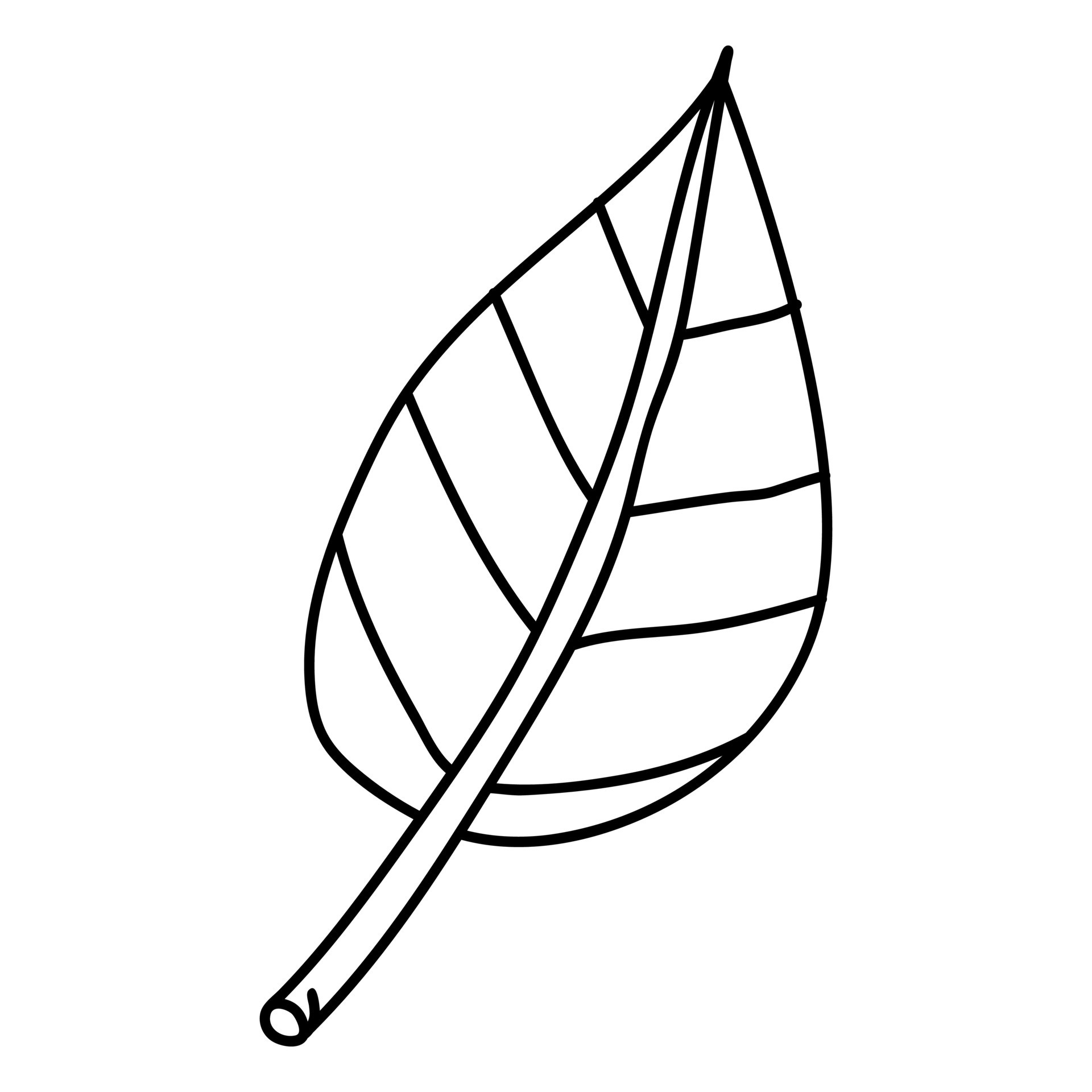 Simple Stroke Hand Drawn Leaf 21986387 Vector Art at Vecteezy