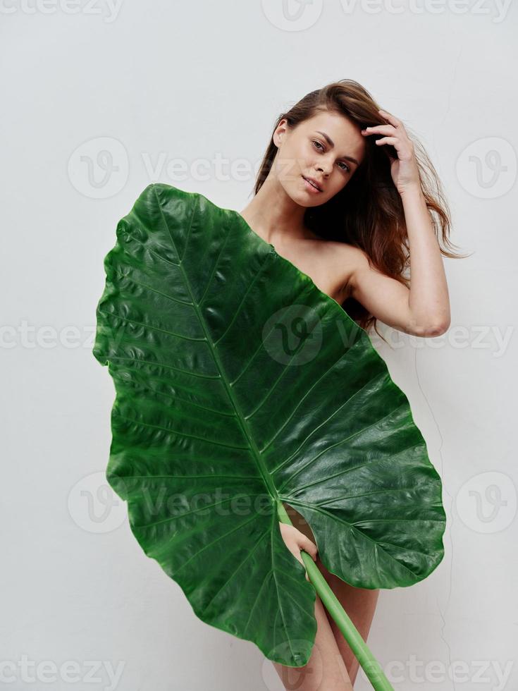 woman with naked body hides behind a palm leaf Exotic studio photo