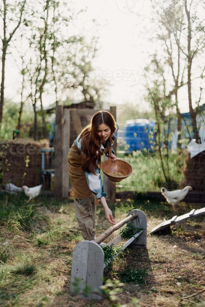 A woman pours organic feed into a chicken feeder at a farm in a plaid shirt, pants, and apron on a sunny summer evening sunset photo