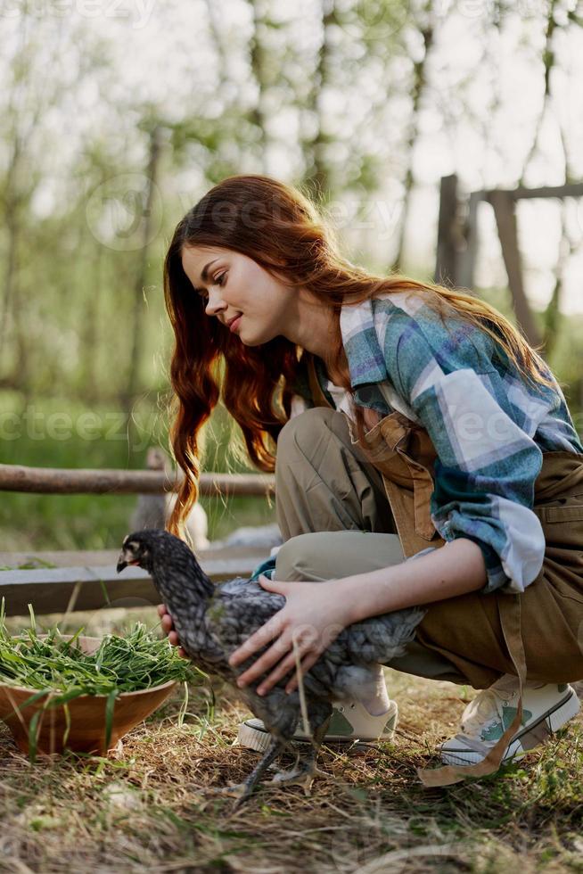 Woman smiles looking at the chicken she holds near the feeder in her hands on the farm, farm labor for raising healthy birds and feeding them organic food in nature photo