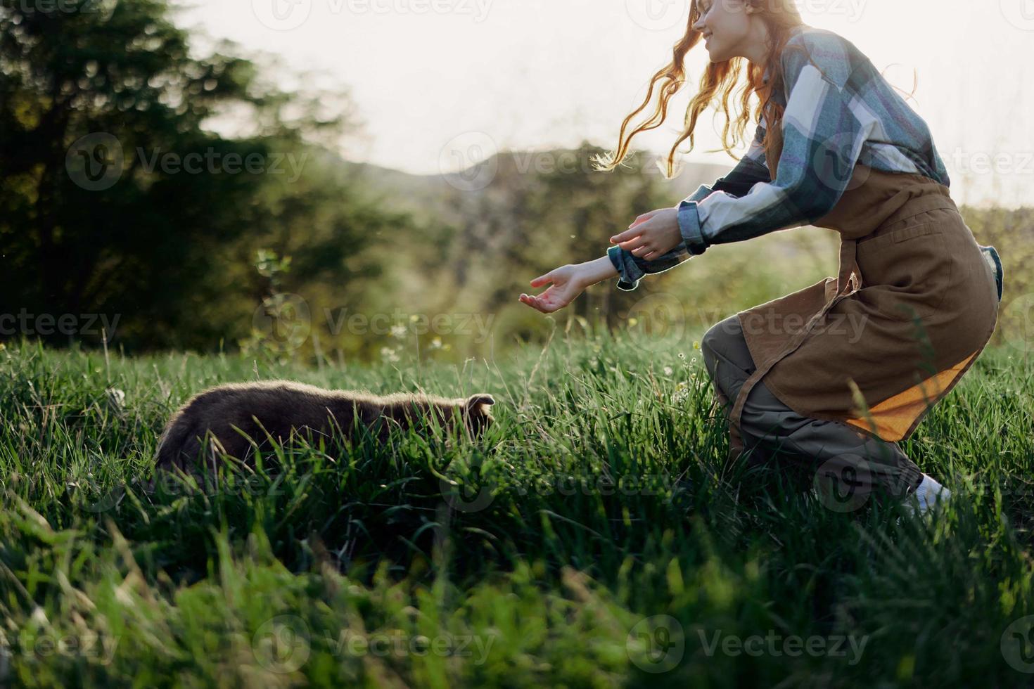 A woman plays a game with her little dog on the green grass in a field in the sunny evening light of nature. The concept of caring for animals and harmony with nature photo