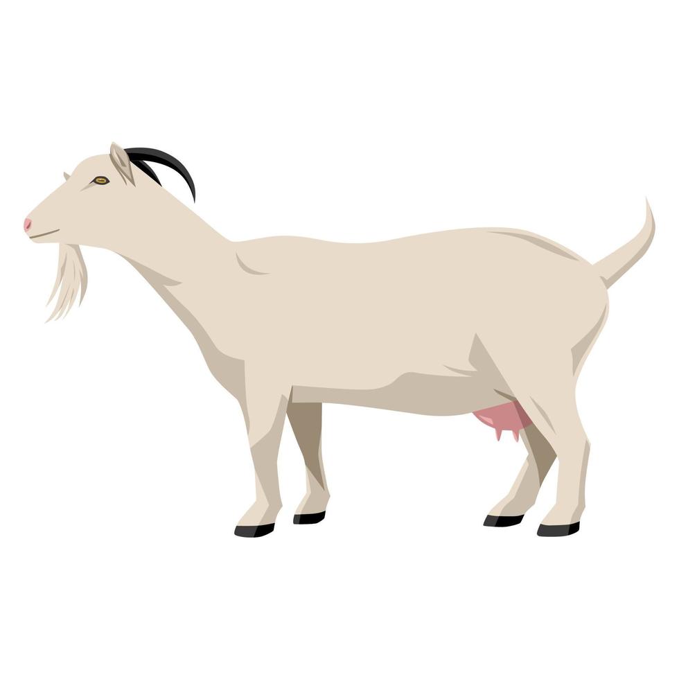 cabra vector ilustración aislado en blanco antecedentes. granja animal