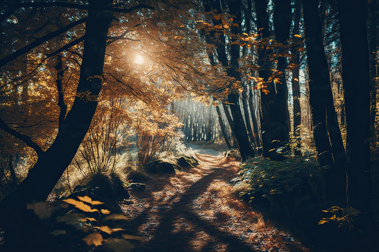 Autumn forest nature. A bright morning in a colorful. Illustration photo