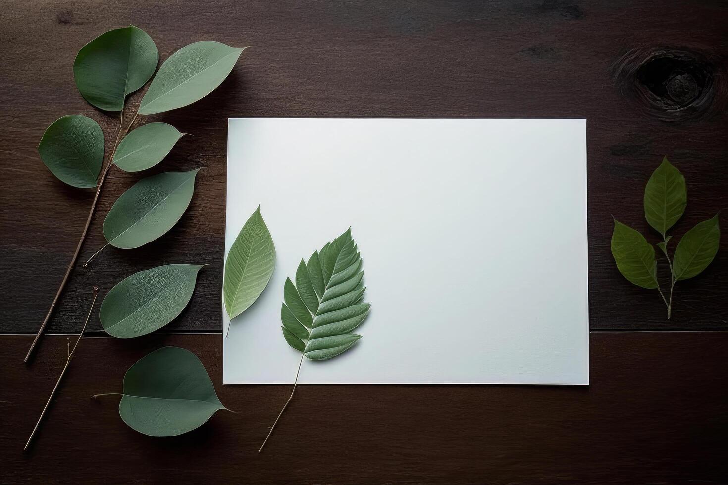 Blank paper sheet copy space with mockup and leaf. Illustration photo